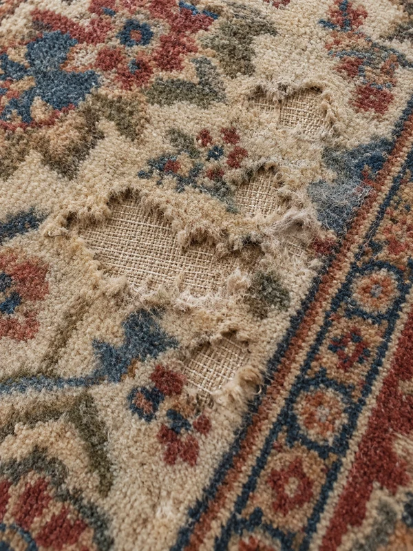 a wool moth eaten rug